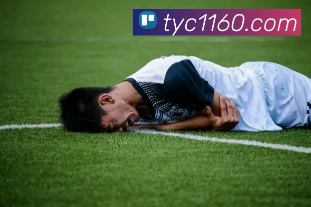 澳门太阳城平台生态图